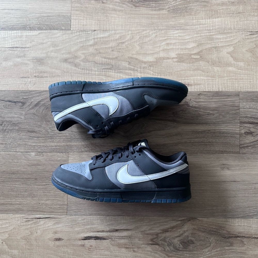 Nike retro Dunk low size 10.5 (worn)